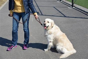 Image of Bunch Solid Brass With Ring on Handle