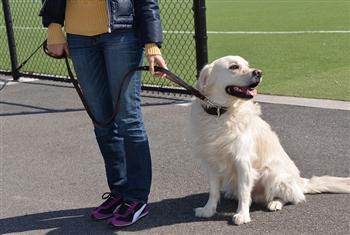 Image of Bunch Solid Brass With Ring on Handle