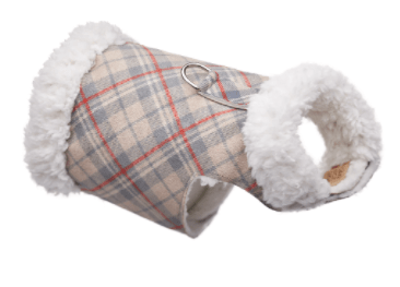 Image of Susan Lanci Designs Bowzer Coat