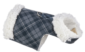Image of Susan Lanci Designs Bowzer Coat