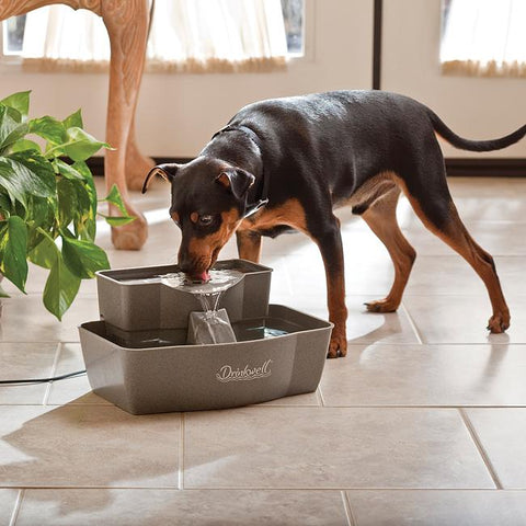 Image of DrinkWell Multi-Tier Plastic Fountain- 100 oz., BPA-free plastic