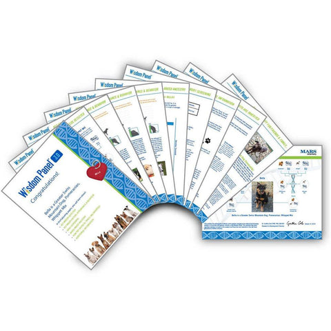 Image of Canine DNA Test Kit 4.0 By Wisdom Panel