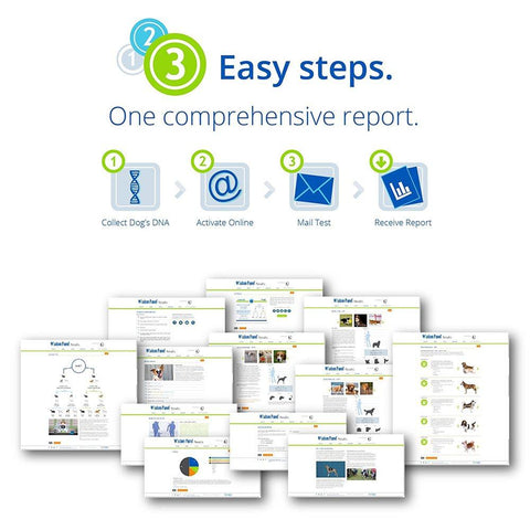 Image of Canine DNA Test Kit 4.0 By Wisdom Panel