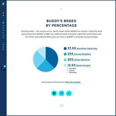 Image of Canine DNA Test Kit 4.0 By Wisdom Panel