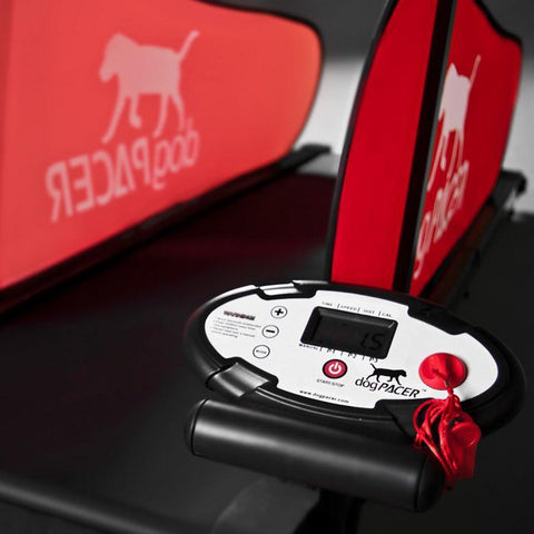 Image of dogPACER LF 3.1 Folding Dog Treadmill For Medium/ Large Dogs