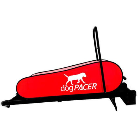 Image of dogPACER LF 3.1 Folding Dog Treadmill For Medium/ Large Dogs