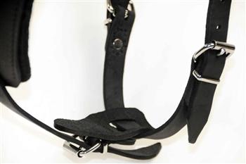 Image of "Victory Leather Harness" For Medium To Extra Large Dogs