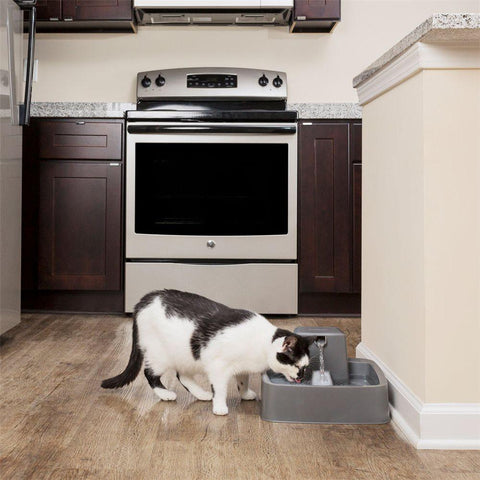 Image of Drinkwell 1 Gallon Pet Fountain-BPA-free plastic