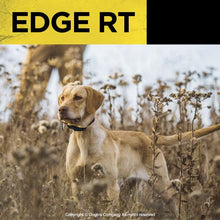 Dogtra Edge RT 1-Mile Range Remote Training System