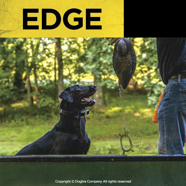 Dogtra EDGE- 1 Mile Remote Trainer e-Collar System