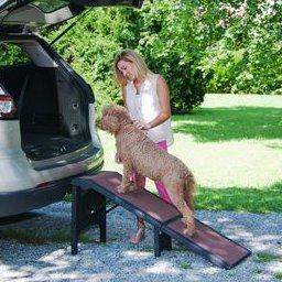 Image of Free-Standing Extra Wide Pet Ramp-Pet Gear dog Ramp