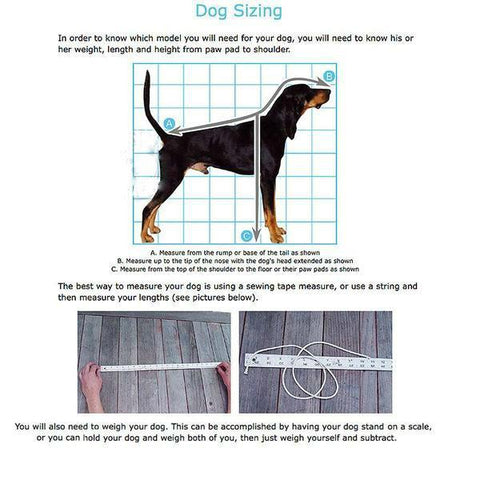 Image of GoPet Indoor Exercise Treadwheel For Large Dogs And Cats <150lbs