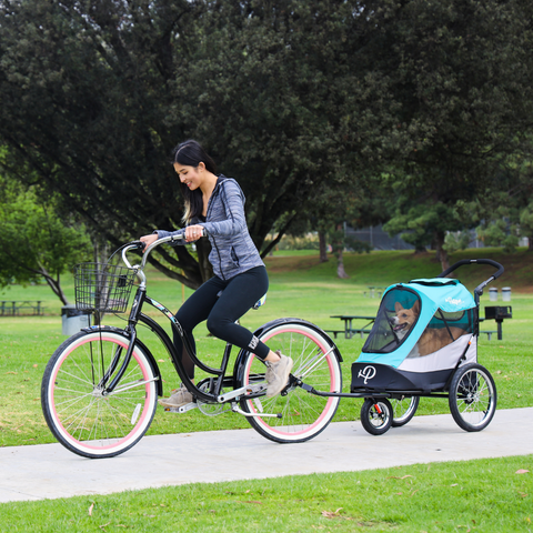 Image of Petique Trailblazer Pet Jogger Bundle