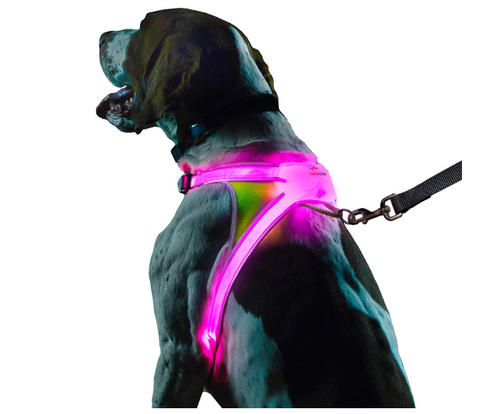 Image of Noxgear LightHound - Multicolor LED Illuminated, Reflective Dog Harness