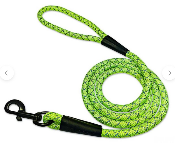 Noxgear High Visibility Durable Reflective Dog Leash – Care About