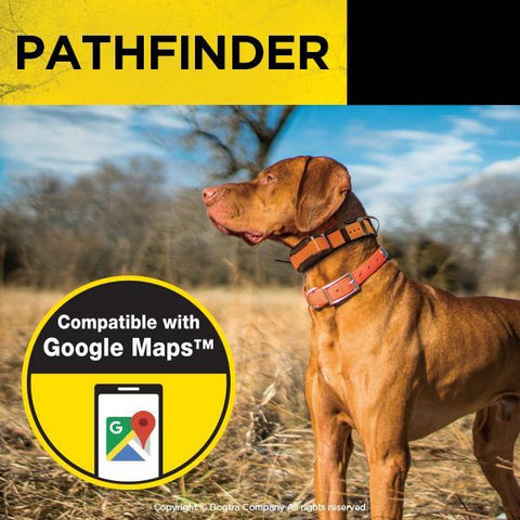 Image of Dogtra Pathfinder MINI GPS Tracking & E-Collar Remote Training System