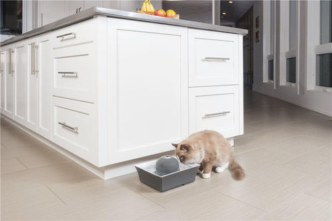 Image of DrinkWell Seascape Ceramic Pet Fountain- 70 oz.- Grey- For Dogs And Cats