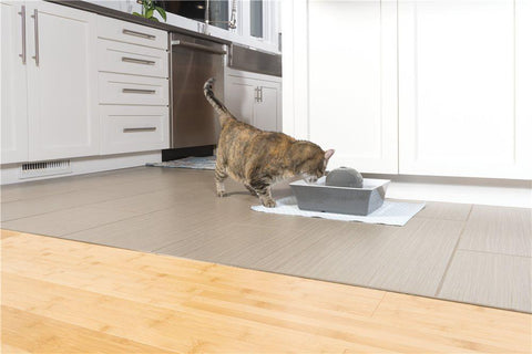 Image of DrinkWell Seascape Ceramic Pet Fountain- 70 oz.- Grey- For Dogs And Cats