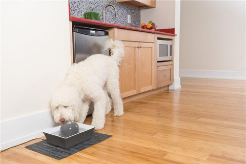 Image of DrinkWell Seascape Ceramic Pet Fountain- 70 oz.- Grey- For Dogs And Cats
