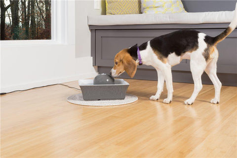 Image of DrinkWell Seascape Ceramic Pet Fountain- 70 oz.- Grey- For Dogs And Cats