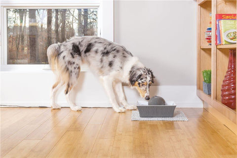 Image of DrinkWell Seascape Ceramic Pet Fountain- 70 oz.- Grey- For Dogs And Cats