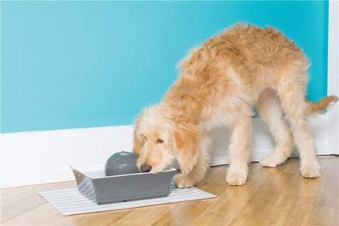 Image of DrinkWell Seascape Ceramic Pet Fountain- 70 oz.- Grey- For Dogs And Cats