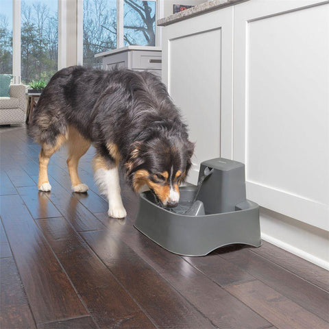 Image of PetSafe Drinkwell 2 Gallon Pet Fountain
