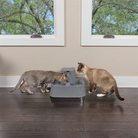 Image of PetSafe Drinkwell 2 Gallon Pet Fountain