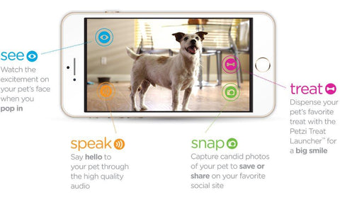 Image of Watz Petzi Treat Cam