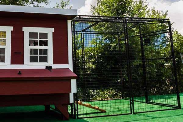 OverEZ Amish Medium Chicken Coops - Up to 10 Chickens