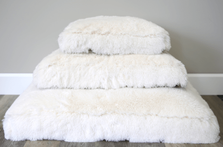 Image of Club Nine Pets Soho Night Charcoal