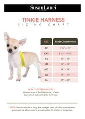 Image of Susan Lanci Designs Black Glitzerati Tinkie Harness