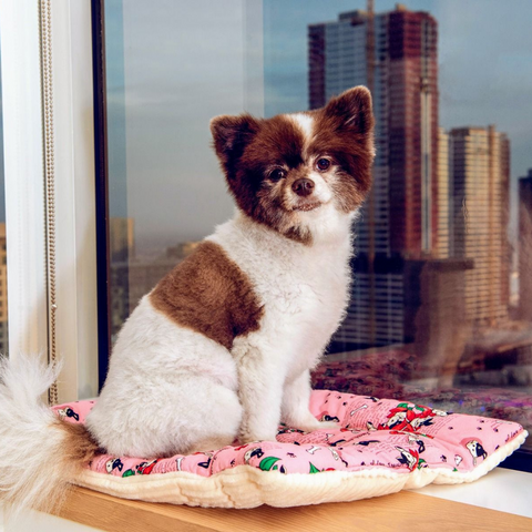 Image of Petique Comfy Mat Pet Bed