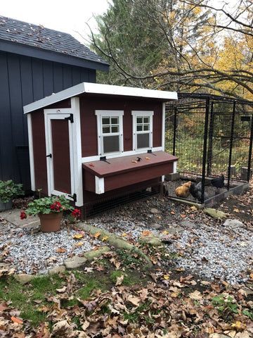 Image of OverEZ Amish Large Chicken Coops - Up to 15 Chickens