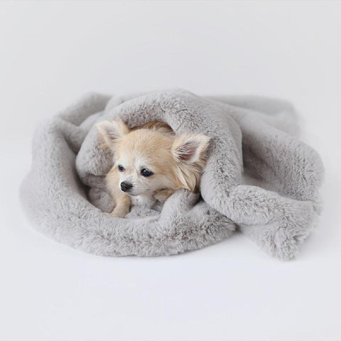 Image of Divine Plus Dog Blanket
