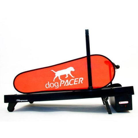 Image of dogPACER Minipacer Indoor Exercise Treadmill For Toy/Small Breed Pets