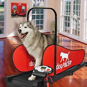 Image of dogPACER LF 3.1 Folding Dog Treadmill For Medium/ Large Dogs