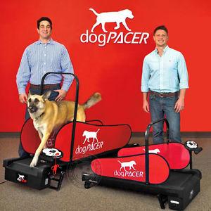 Image of dogPACER Minipacer Indoor Exercise Treadmill For Toy/Small Breed Pets