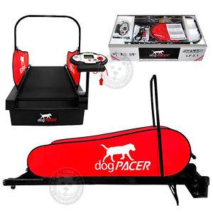 Image of dogPACER LF 3.1 Folding Dog Treadmill For Medium/ Large Dogs