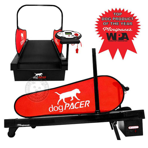 Image of dogPACER LF 3.1 Folding Dog Treadmill For Medium/ Large Dogs