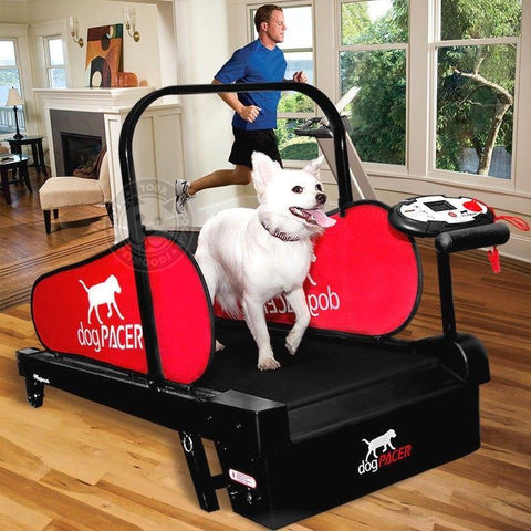 Image of dogPACER Minipacer Indoor Exercise Treadmill For Toy/Small Breed Pets