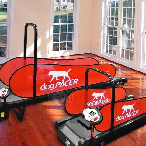 Image of dogPACER Minipacer Indoor Exercise Treadmill For Toy/Small Breed Pets