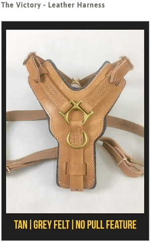 Image of "Victory Leather Harness" For Medium To Extra Large Dogs