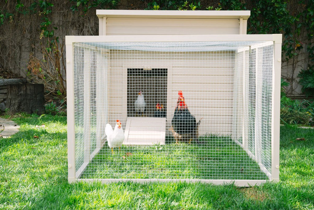 New Age Farm™ & Garden Fontana Chicken Barn