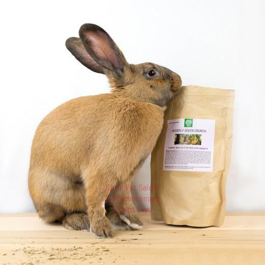 Small Pet Select 100% Organic Heavenly Green Crunch Herbal Blend