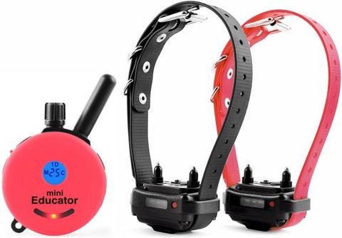 Image of ET 302 MINI REMOTE 2-DOG TRAINER