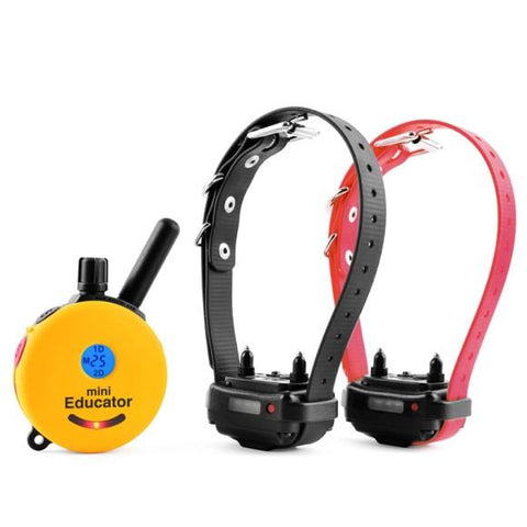 Image of ET 302 MINI REMOTE 2-DOG TRAINER
