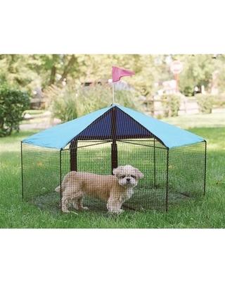 Image of Kittywalk Carnival Outdoor Cat Enclosure