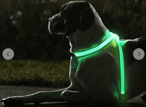 Image of Noxgear LightHound - Multicolor LED Illuminated, Reflective Dog Harness