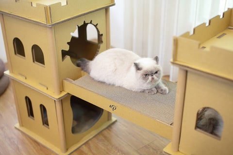 Image of Petique London Bridge House Cat House